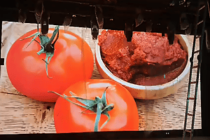 WA 0838.3060.0218 I Jual videotron Surabaya